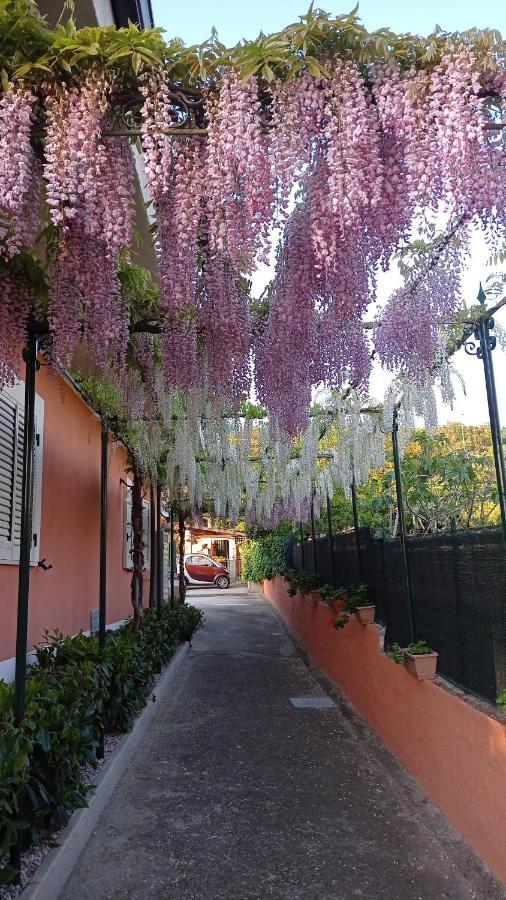 Casa Vacanze Mimose Palinuro Exterior foto