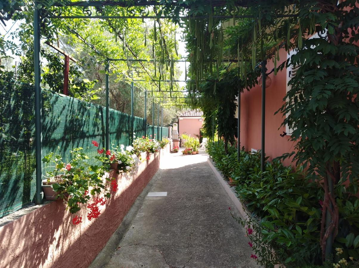 Casa Vacanze Mimose Palinuro Exterior foto