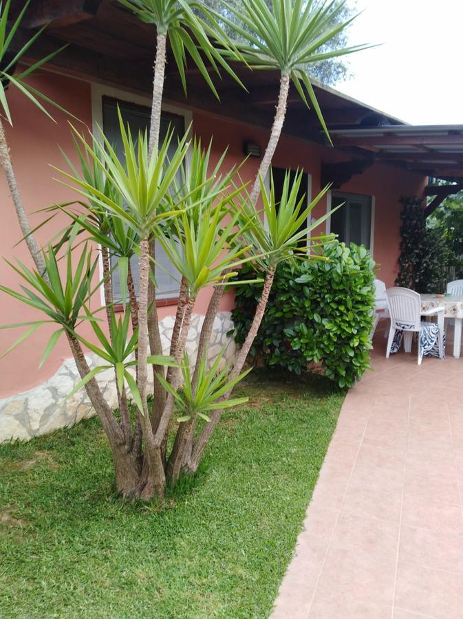 Casa Vacanze Mimose Palinuro Exterior foto