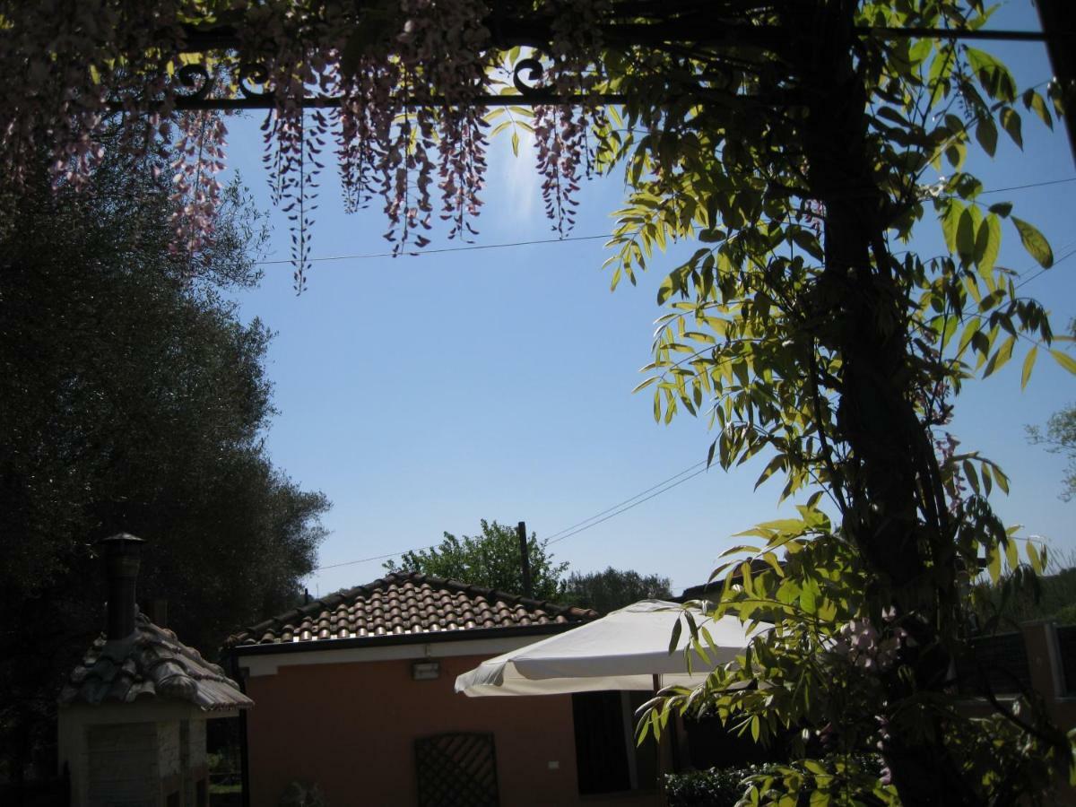 Casa Vacanze Mimose Palinuro Exterior foto